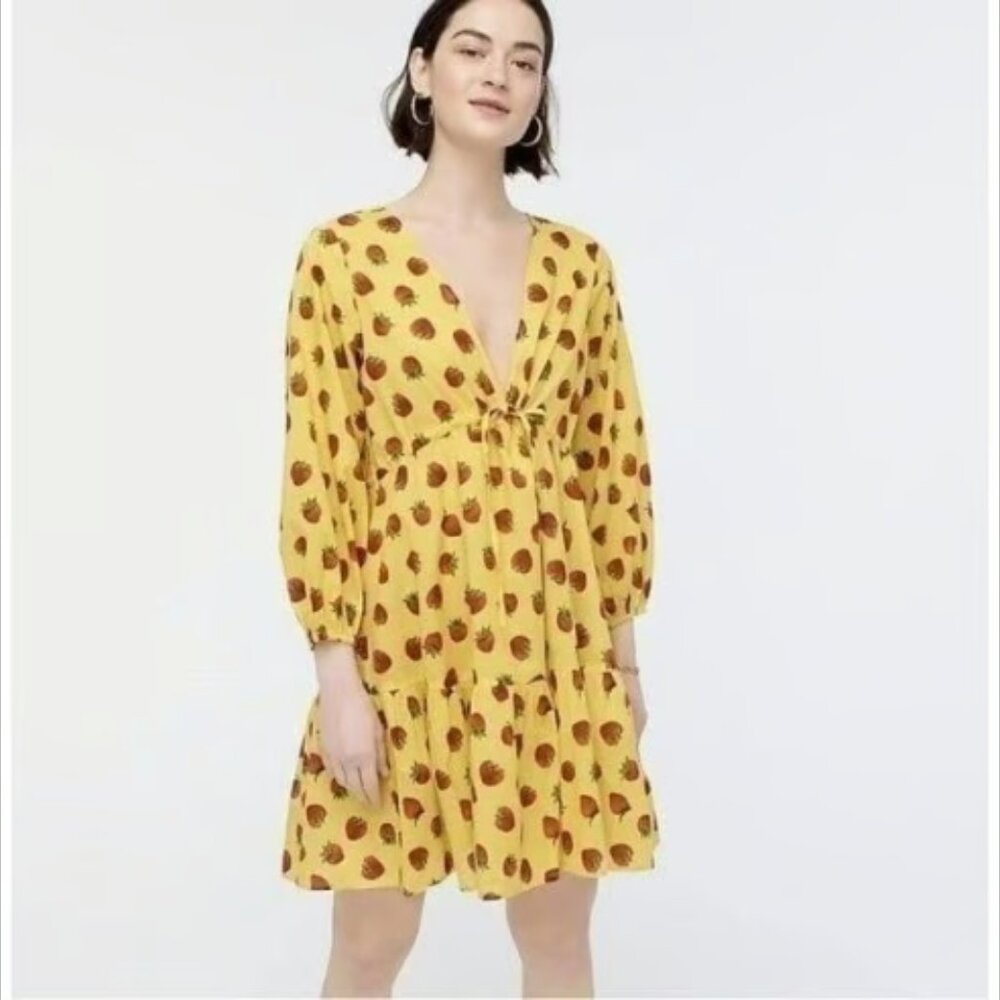 COPY - J.Crew x Edie Parker Coverup / Dress